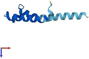 PIGY Protein (AA 1-71) (Fc Tag)