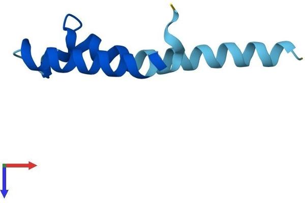 PIGY Protein (AA 1-71) (Fc Tag)