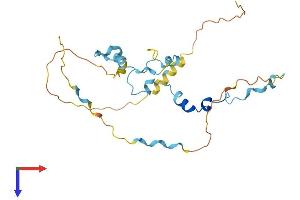 MED19 Protein (AA 1-244) (His tag)
