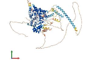Protein Structure (PS) image for TBC1 Domain Family, Member 5 (TBC1D5) (AA 1-795) protein (His tag) (ABIN7555710)