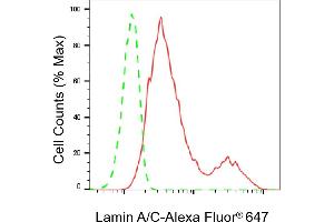 Flow cytometric analysis of Lamin A/C expression in HT- cells using Lamin A/C antibody (ABIN7799228), 1:2,000). (Rekombinanter Lamin A/C Antikörper)