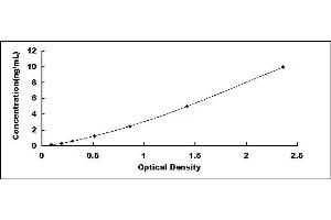 Typical standard curve (IKK alpha ELISA Kit)