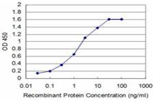Detection limit for recombinant GST tagged DHFR is approximately 0. (Dihydrofolate Reductase Antikörper  (AA 88-187))