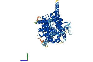 Protein Structure (PS) image for Hyaluronan Synthase 3 (HAS3) (AA 1-554) protein (His tag) (ABIN7562186)