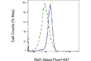 Validation of Raf1 knockdown using flow cytometry. (Rekombinanter RAF1 Antikörper)