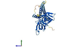 Protein Structure (PS) image for Coiled-Coil Domain Containing 101 (CCDC101) (AA 1-293) protein (His tag) (ABIN7561198)