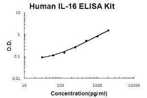 Human IL-16 PicoKine ELISA Kit standard curve