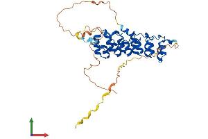Protein Structure (PS) image for NF-kappa-B inhibitor beta (NFKBIB) (AA 1-359) protein (His tag) (ABIN7557613)