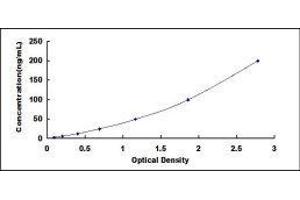 Glutathione S-Transferase mu 3 (Brain) (GSTM3) ELISA Kit