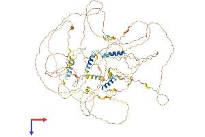 SYNPO Protein (AA 1-929) (His tag)