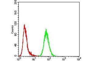 Flow cytometric analysis of MCF-7 cells using TFAP2A mouse mAb (green) and negative control (red). (TFAP2A Antikörper  (AA 1-100))
