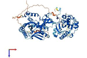 UBASH3A Protein (AA 1-661) (His tag)