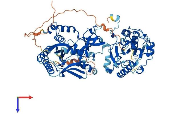 UBASH3A Protein (AA 1-661) (His tag)