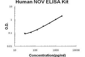 Human NOV/CCN3 PicoKine ELISA Kit standard curve