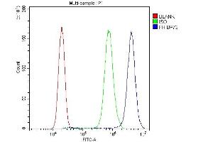 Flow Cytometry analysis of PC-3 cells using anti-FH antibody (ABIN5518986). (FH Antikörper)