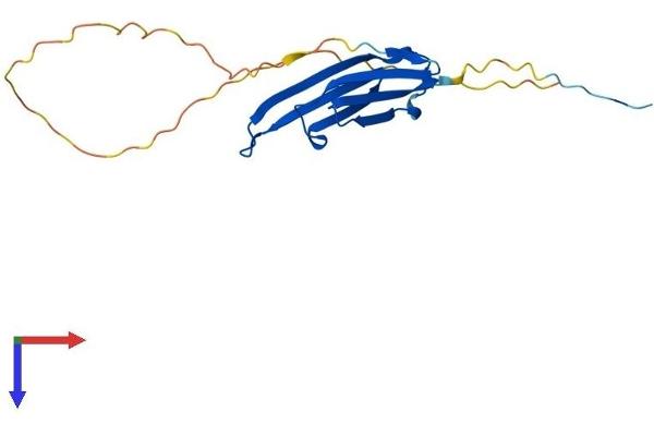 HSPB7 Protein (AA 1-170) (His tag)
