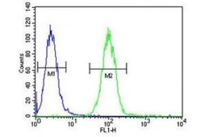 Flow Cytometry (FACS) image for anti-Annexin A1 (ANXA1) (AA 129-158) antibody (ABIN3029969)