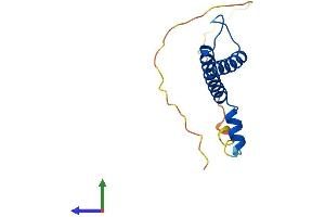 AlphaFold protein structure predicition of Mouse Recombinant Nhlh1 Protein, UniprotID Q02576