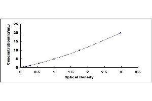 BASP1 ELISA Kit