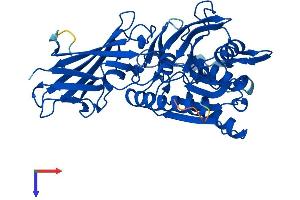 Protein Structure (PS) image for Acyl-Coenzyme A Amino Acid N-Acyltransferase 1 (ACNAT1) (AA 1-416) protein (His tag) (ABIN7561930)