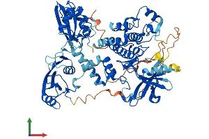 Protein Structure (PS) image for zeta-Chain (TCR) Associated Protein Kinase 70kDa (ZAP70) (AA 1-619) protein (His tag) (ABIN7556127)