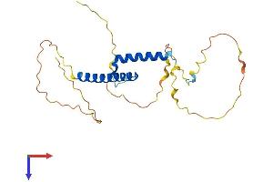 BHLHA9 Protein (AA 1-231) (His tag)