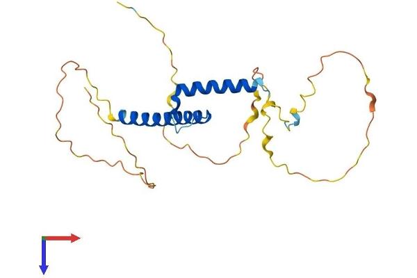 BHLHA9 Protein (AA 1-231) (His tag)