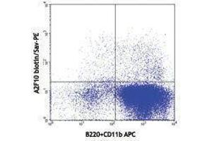 Flow Cytometry (FACS) image for anti-Fms-Related tyrosine Kinase 3 (FLT3) antibody (Biotin) (ABIN2660812) (FLT3 Antikörper  (Biotin))