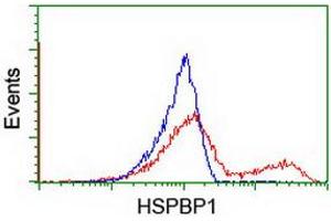 Flow Cytometry (FACS) image for anti-HSPA Binding Protein, Cytoplasmic Cochaperone 1 (HSPBP1) antibody (ABIN1498759) (HSPBP1 Antikörper)