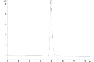 Size-exclusion chromatography-High Pressure Liquid Chromatography (SEC-HPLC) image for CD46 (CD46) (AA 45-344) protein (His tag) (ABIN7274176)