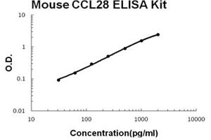 Mouse CCL28 Accusignal ELISA Kit Mouse CCL28 AccuSignal ELISA Kit standard curve.