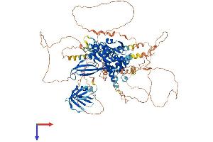 USP37 Protein (AA 1-979) (His tag)