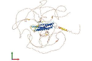AlphaFold protein structure predicition of Mouse Recombinant Meioc Protein, UniprotID A2AG06 (Gm1564 (AA 1-965) protein (His tag))