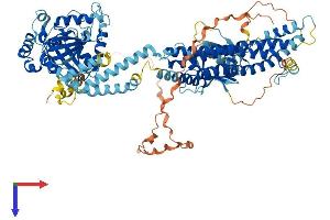Dynamin 3 Protein (DNM3) (AA 1-869) (His tag)