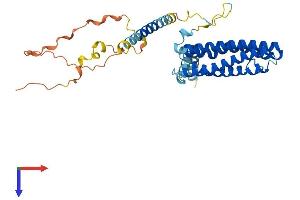 SCAMP3 Protein (AA 1-347) (His tag)