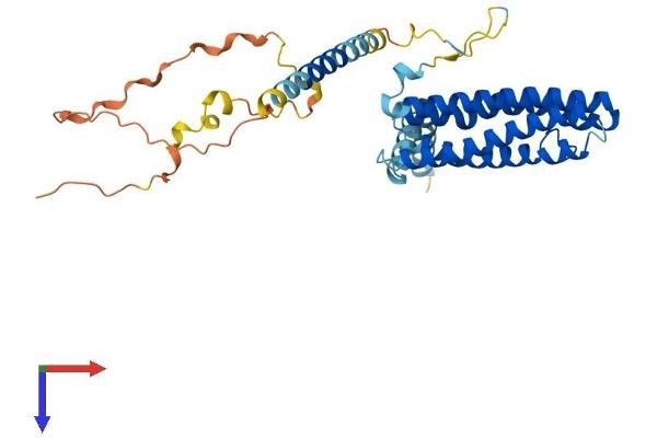 SCAMP3 Protein (AA 1-347) (His tag)