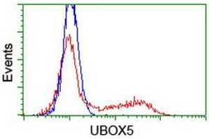 Image no. 2 for anti-U-Box Domain Containing 5 (UBOX5) (AA 1-130), (AA 419-487) antibody (ABIN1490572) (UBOX5 Antikörper  (AA 1-130, AA 419-487))