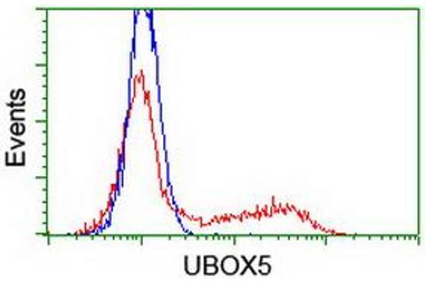 UBOX5 Antikörper  (AA 1-130, AA 419-487)