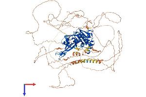 USP53 Protein (AA 1-1073) (His tag)
