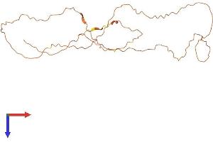 AlphaFold protein structure predicition of Human Recombinant KRTAP24-1 Protein, UniprotID Q3LI83