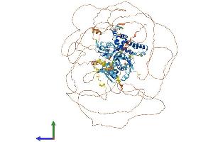 Protein Structure (PS) image for Regulator of G-Protein Signalling 12 (RGS12) (AA 1-1381) protein (His tag) (ABIN7564570)
