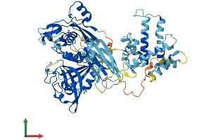 Protein Structure (PS) image for Calpain 13 (CAPN13) (AA 1-669) protein (His tag) (ABIN7552835)