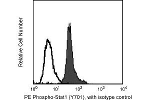 Flow Cytometry (FACS) image for anti-Signal Transducer and Activator of Transcription 1, 91kDa (STAT1) (pTyr701) antibody (PE) (ABIN1177189)