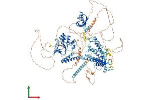 AlphaFold protein structure predicition of Human Recombinant KCNH2 Protein, UniprotID Q12809