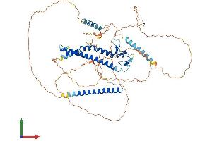 Protein Structure (PS) image for Melanophilin (MLPH) (AA 1-600) protein (His tag) (ABIN7549330)
