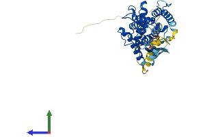 Protein Structure (PS) image for Parvin, beta (PARVB) (AA 1-364) protein (His tag) (ABIN7550620)