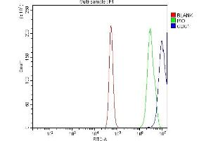 Flow Cytometry analysis of A431 cells using anti-CLIC1 antibody (ABIN7601812). (CLIC1 Antikörper  (AA 47-241))
