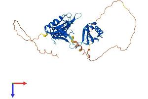 ELAVL4 Protein (AA 1-385) (His tag)