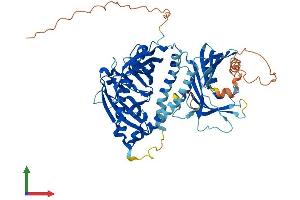 Protein Structure (PS) image for Acyl-CoA Thioesterase 11 (ACOT11) (AA 1-607) protein (His tag) (ABIN7551856)