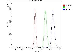 Flow Cytometry analysis of HepG2 cells using anti-USP16 antibody (ABIN7599650). (USP16 Antikörper  (AA 103-683))